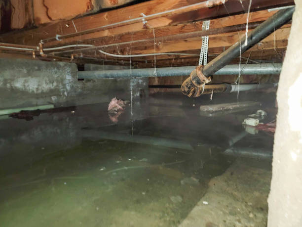 Reliable AR Water damage restoration Solutions