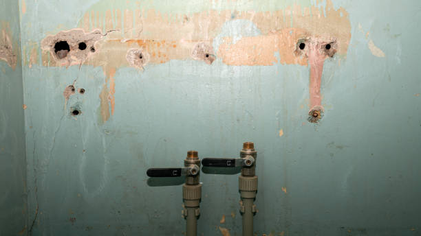 Best Flood restoration services  in Bling, AR