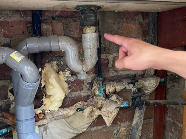 Best Water damage contractors near me  in Bling, AR